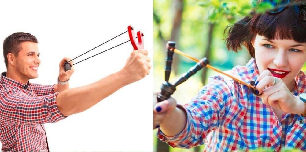 meilleures-frondes-chasse